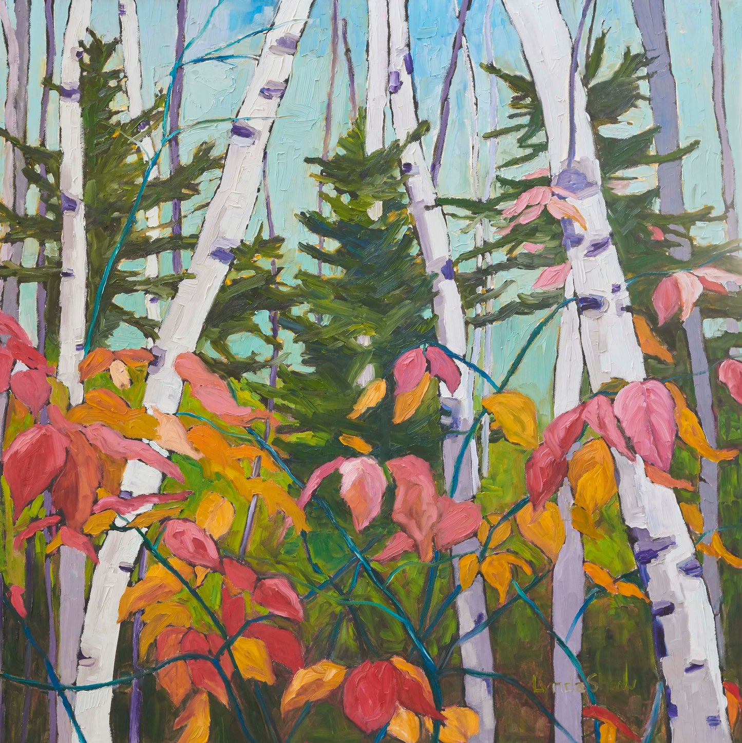 Birch Trees and Fall Leaves col.7, 40x40" image 0