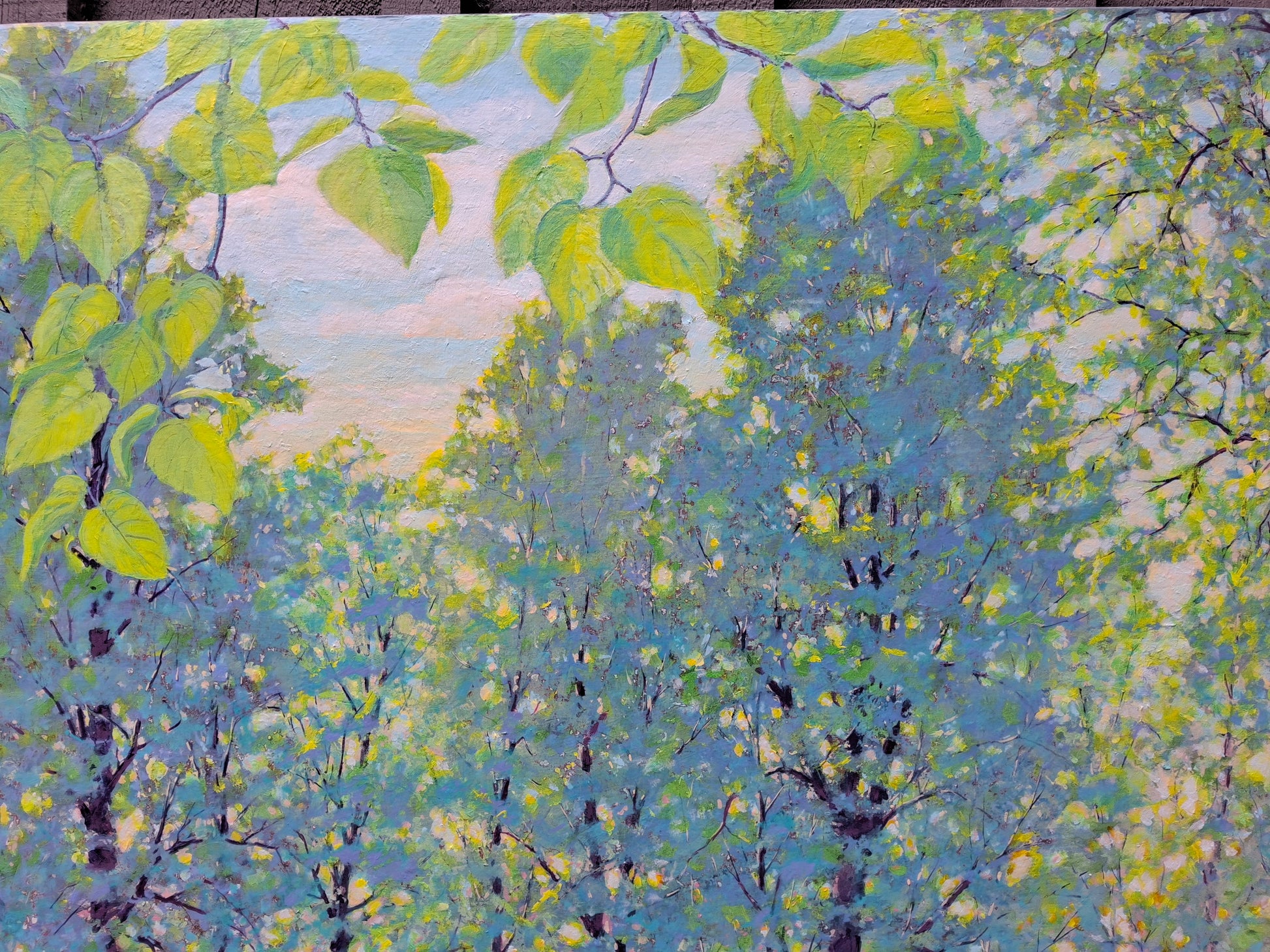 Through Tree Tops  24H x 30W image 0