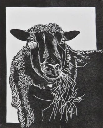 Ewe 1/7 6x8" image 0