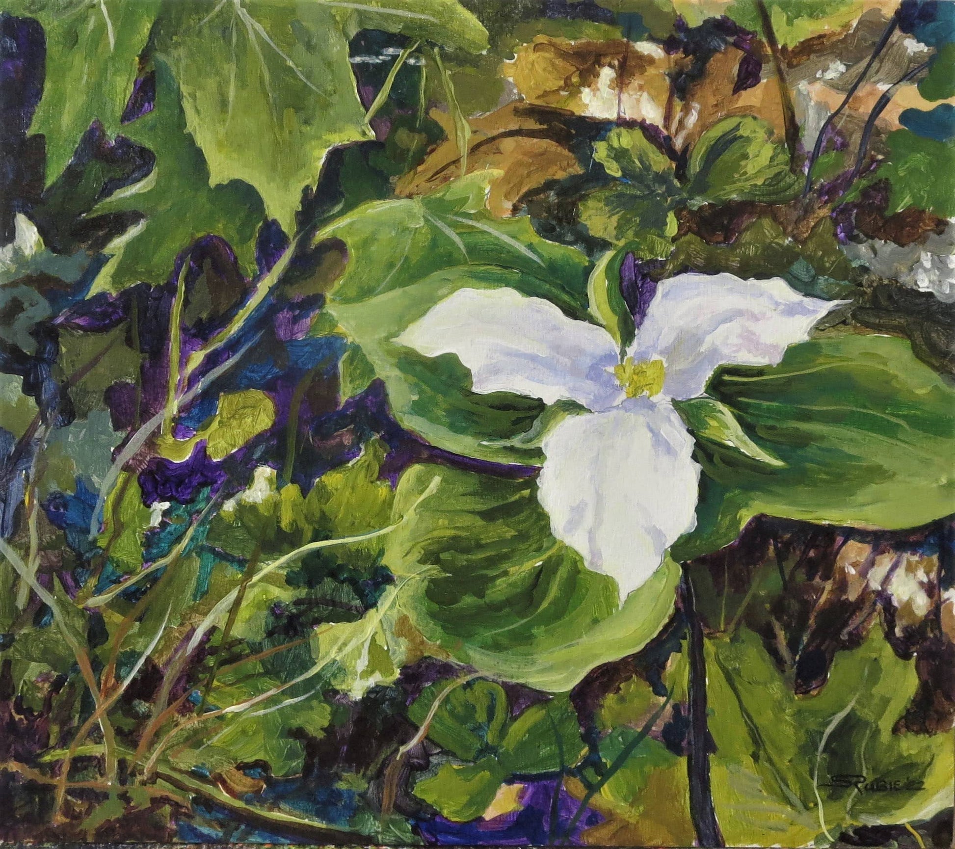 Trillium 12x12" image 0