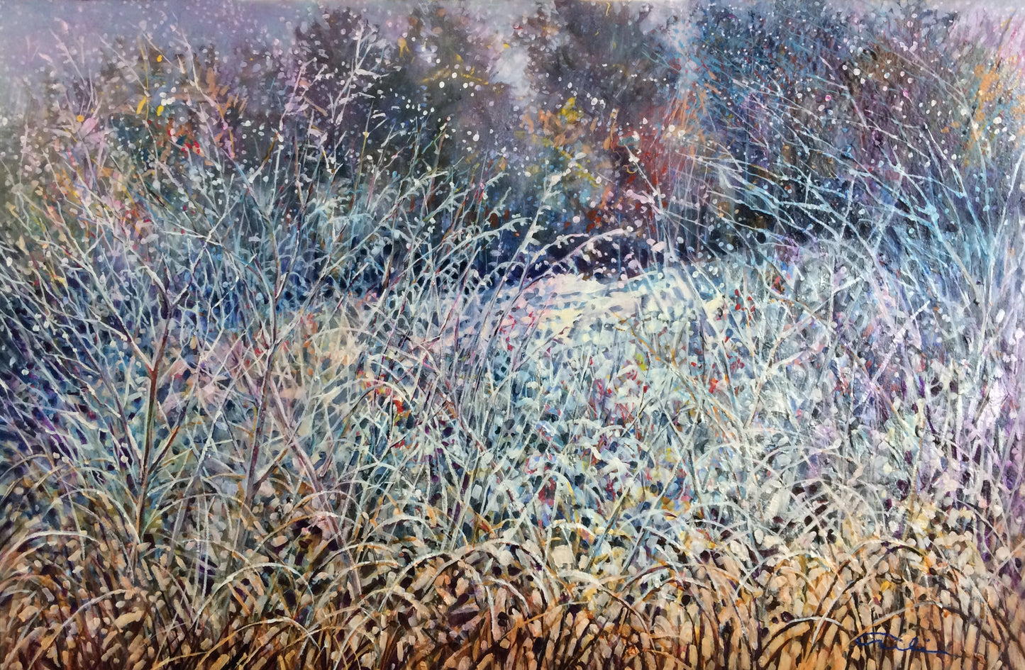 Winter Breeze image 0