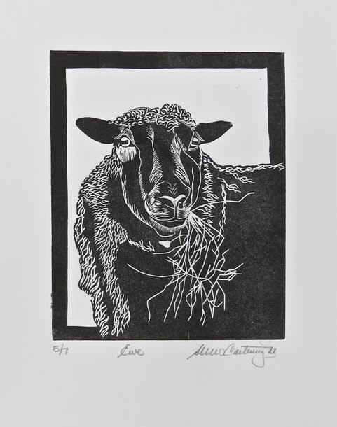 Ewe image 0