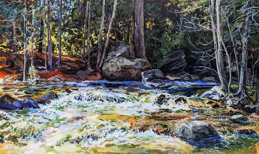 Mississippi Light, Blakeney Rapids 18H x 30W image 0