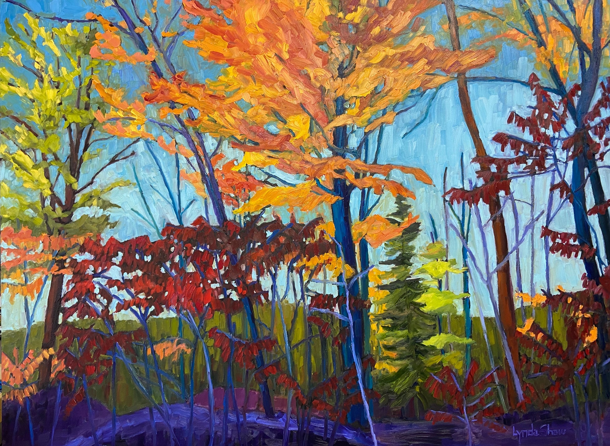 Fall Maples and Sumac, Collection 2, 36H x 48W image 0