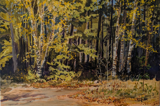 Sun on Aspen, 12x18