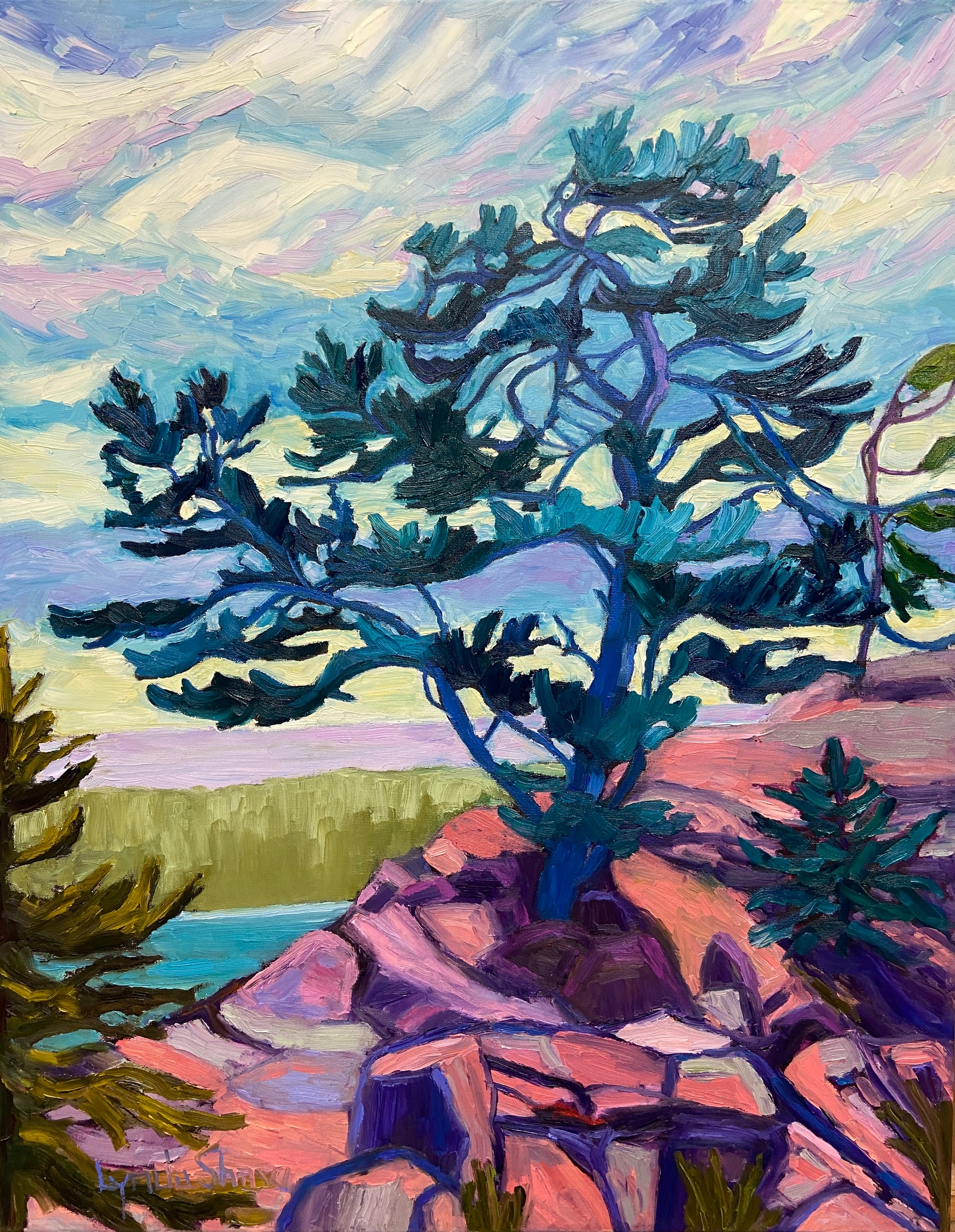 Windswept Pine Trees, Collection 4, 22x28" image 0