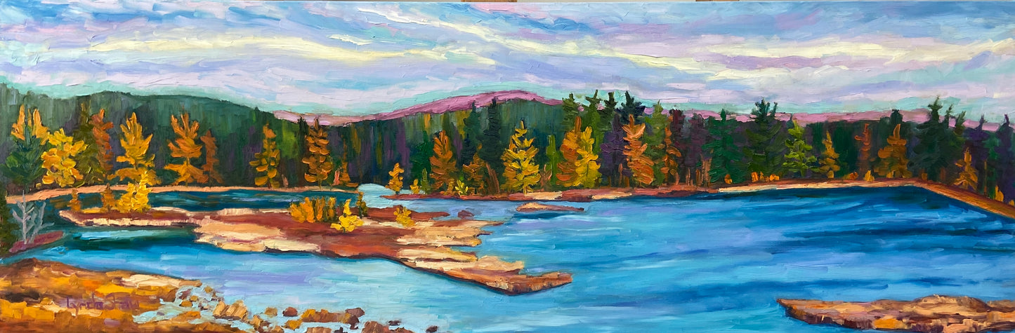 Golden Fall Tamaracks, Collection 2, 16H x 48W image 0