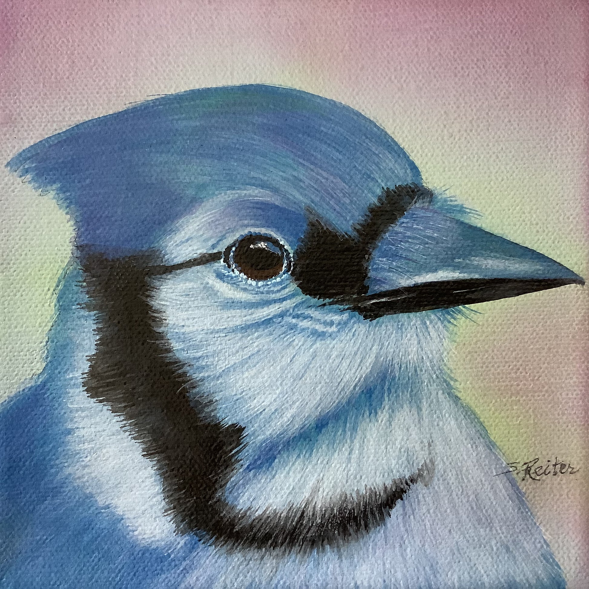 Mr. Bluejay, 6x6" image 0