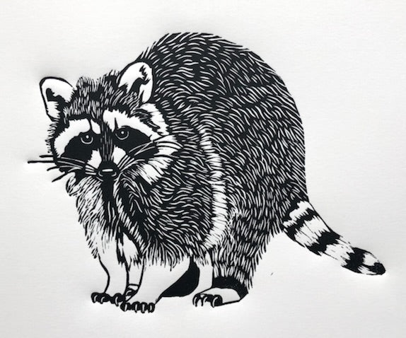 Bandit 3/30 6x8" image 0