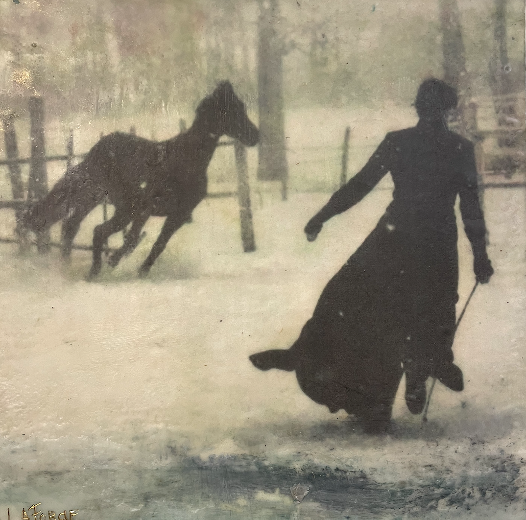 The Young Horse in Training, 12x12 image 0