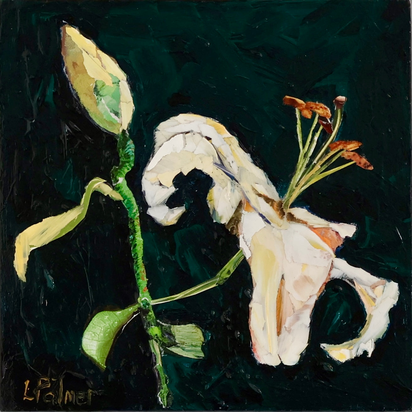 Lily 6x6" image 0