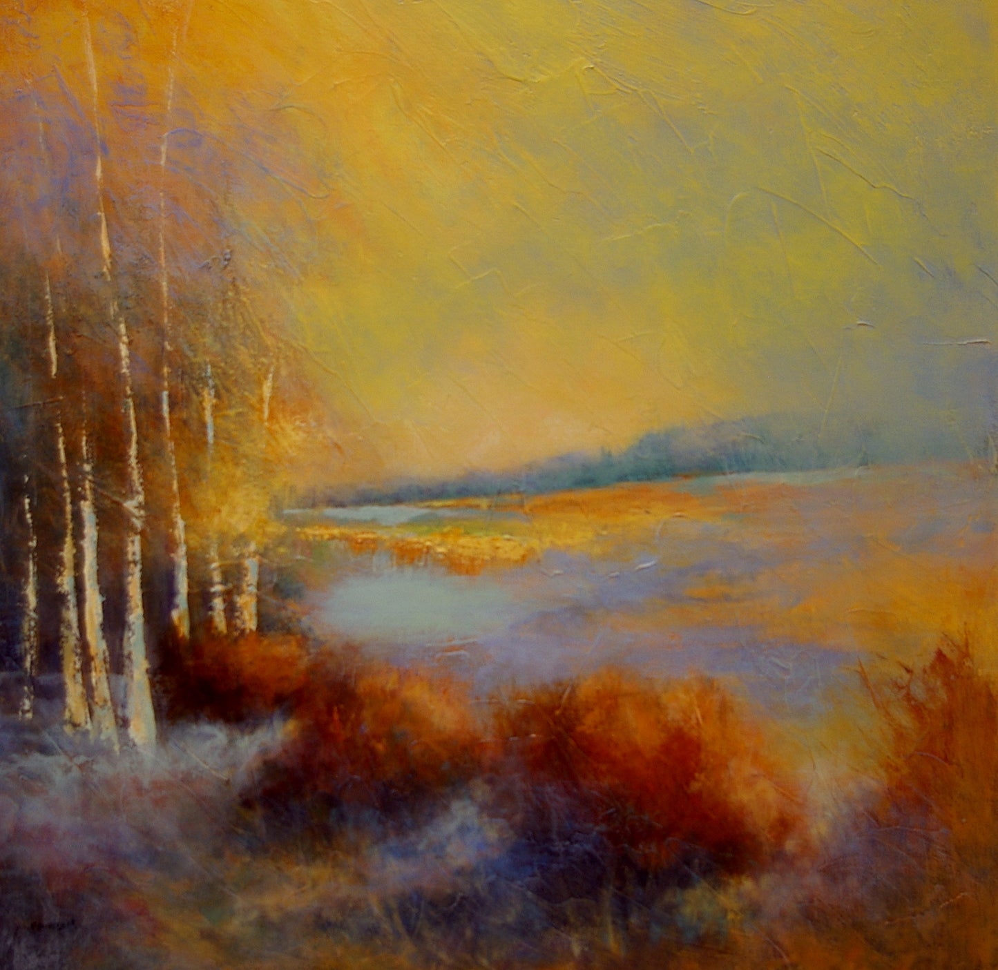 Birch image 0