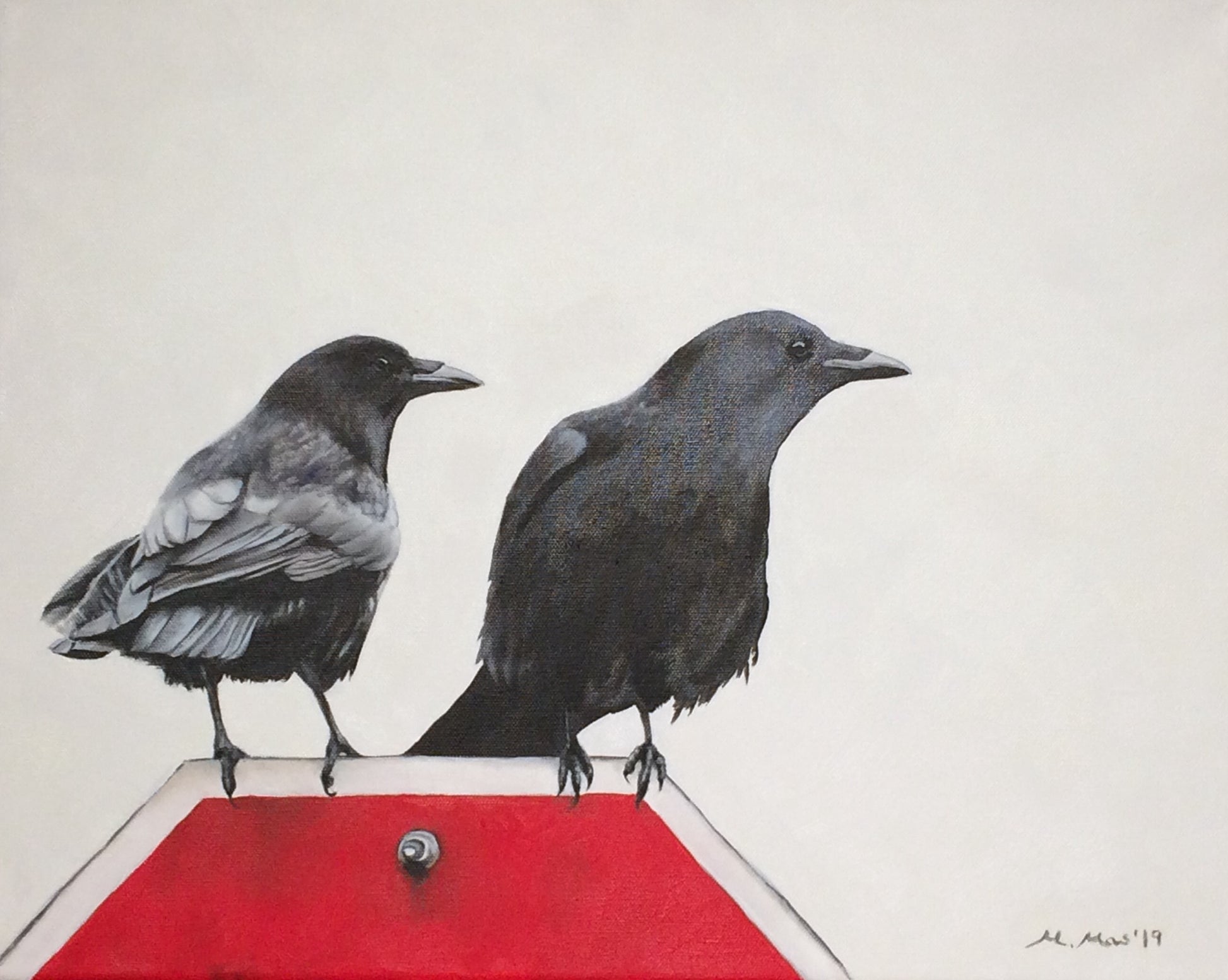 Crows at Stop Sign image 0