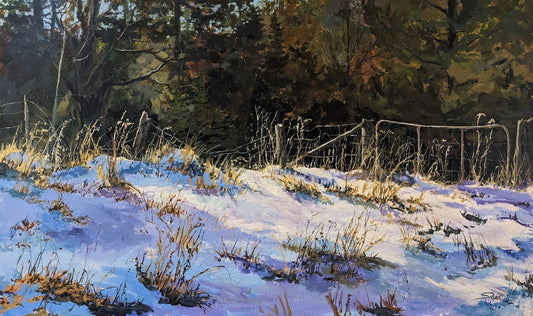Roadside Fence in Afternoon Sun, 18x30"