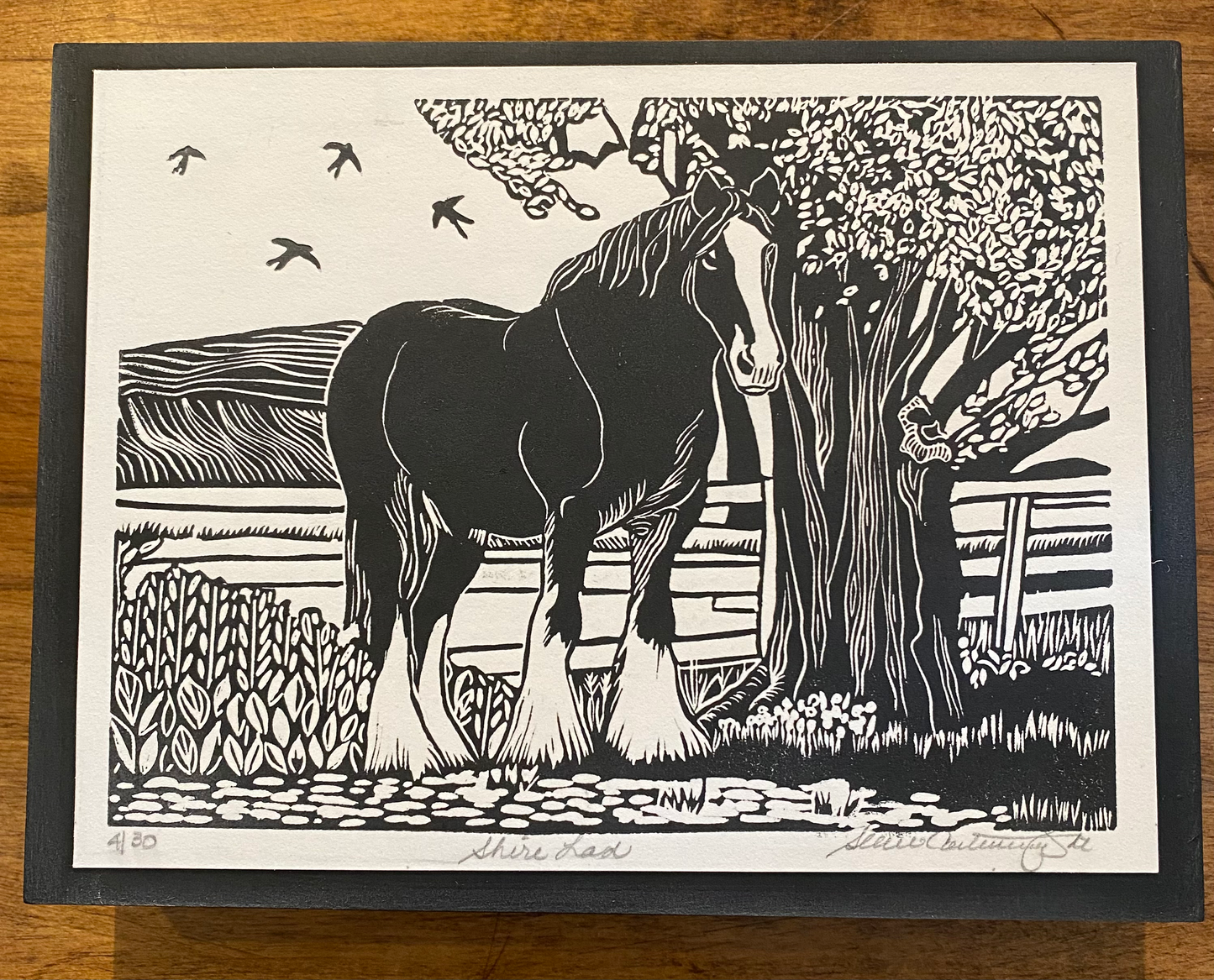 Shire Lad, 4/30, 8x6" image 0