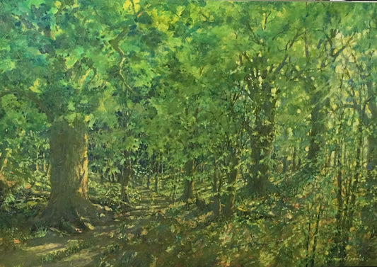 Forest Dawn-60" x 40" image 0