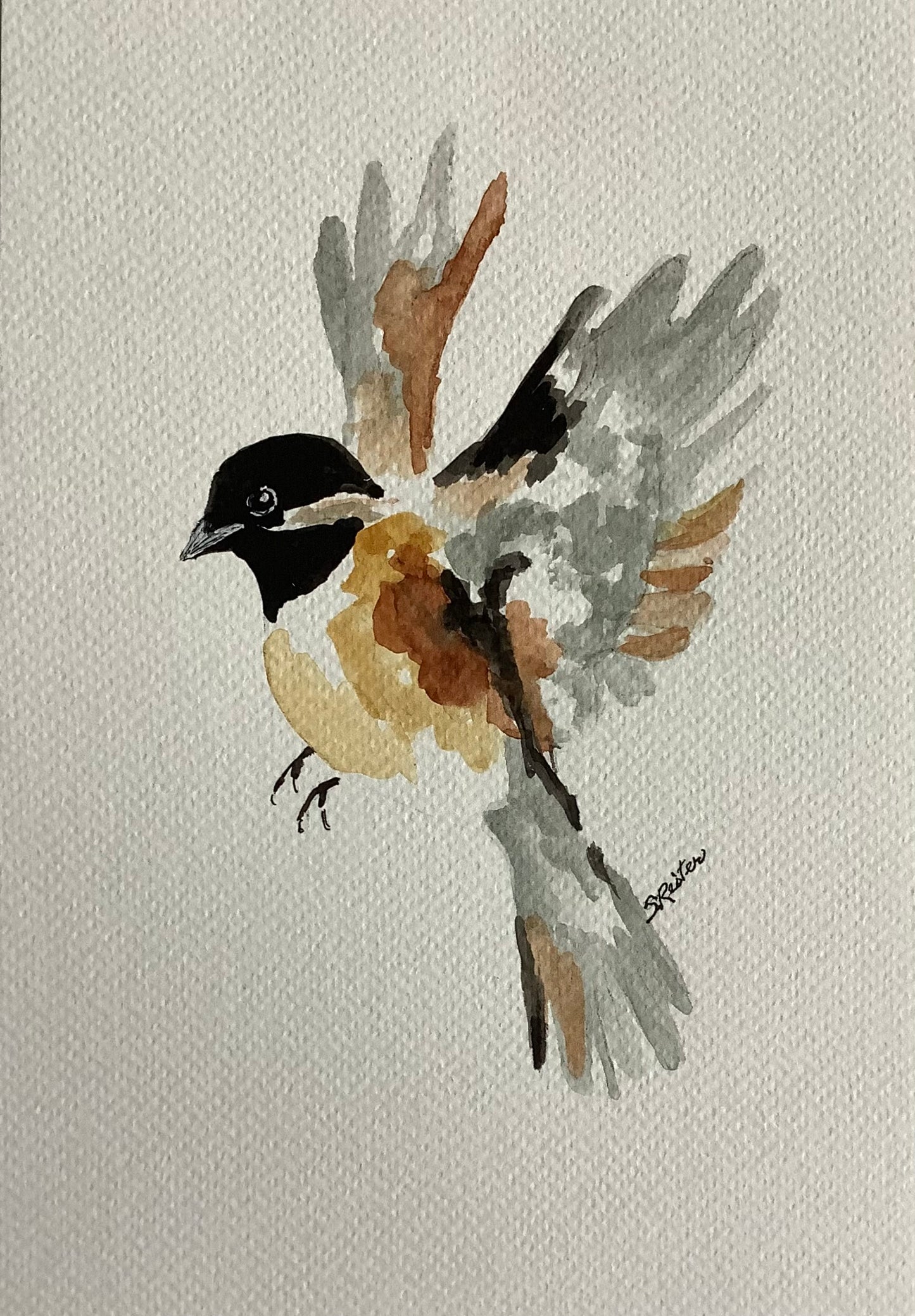 Chickadee, 8x10 image 0