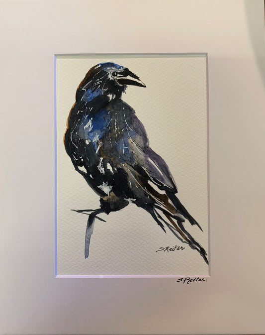 Raven 8x10" image 0