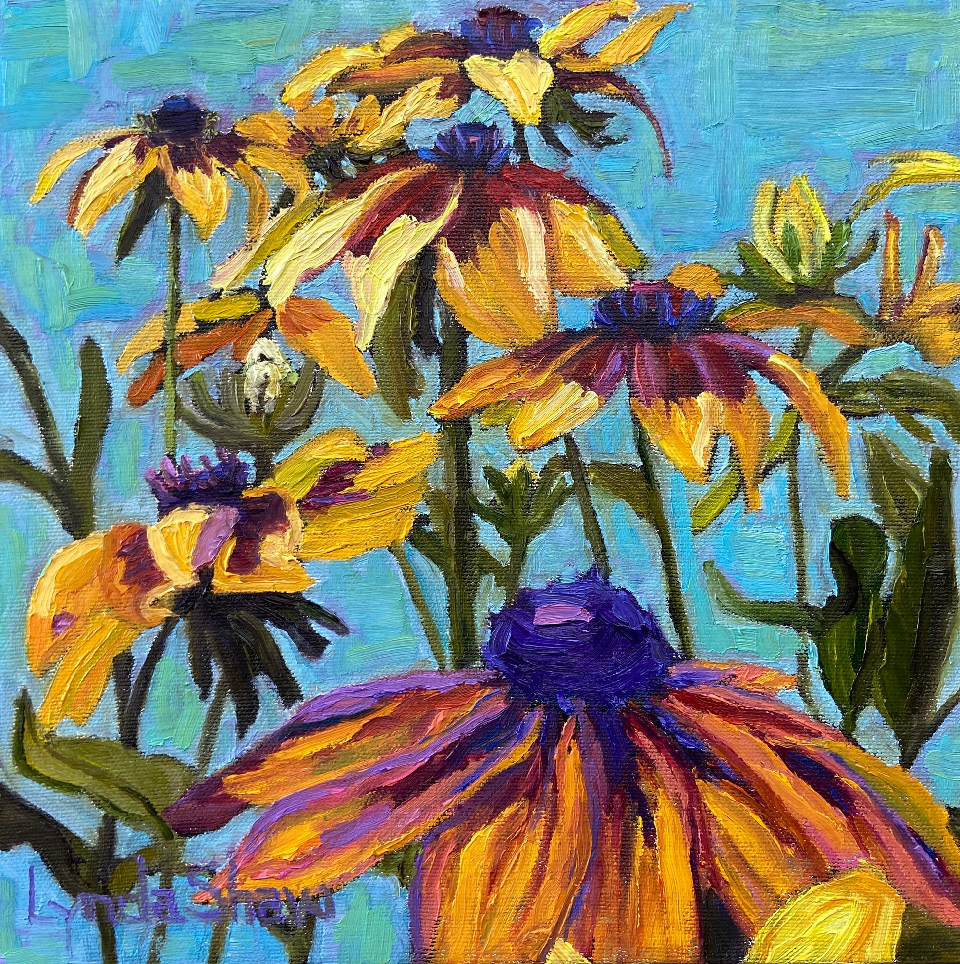 Gloriosa Daisies 10Hx10W image 0