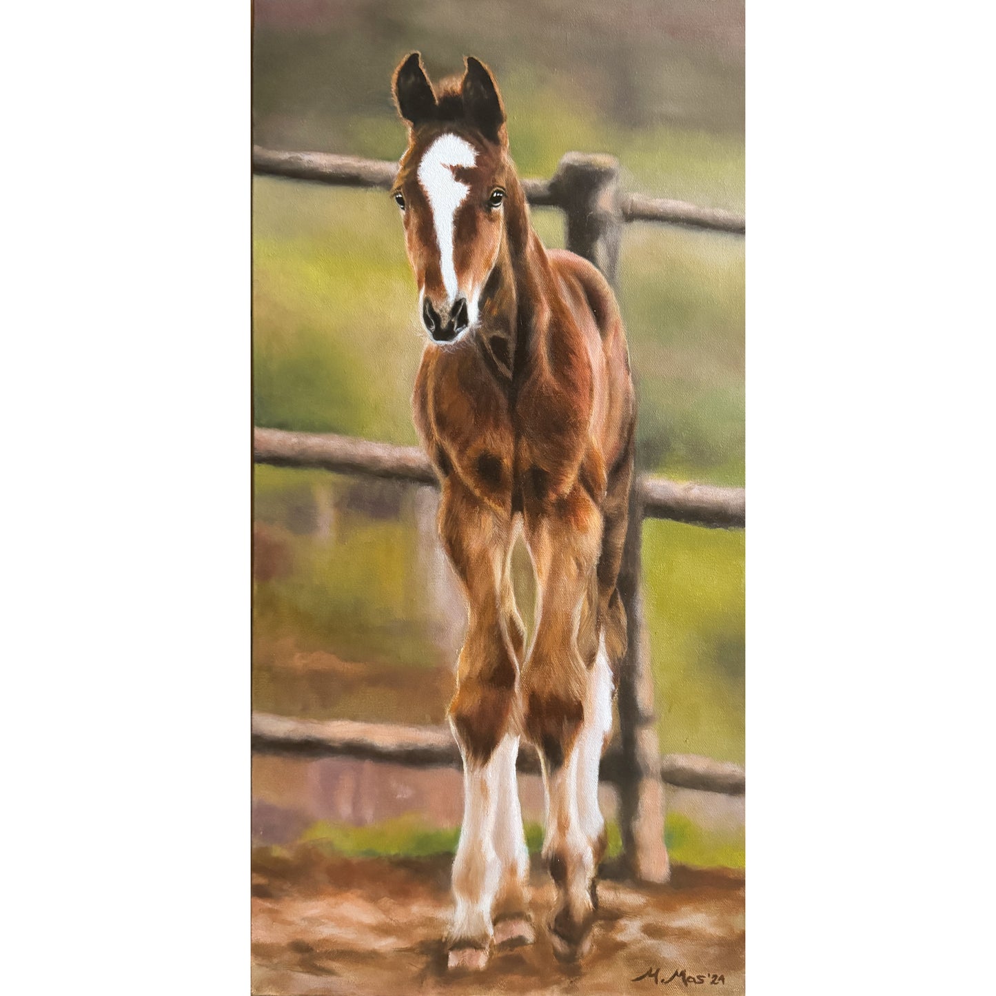 Foal 24H x 12W image 0