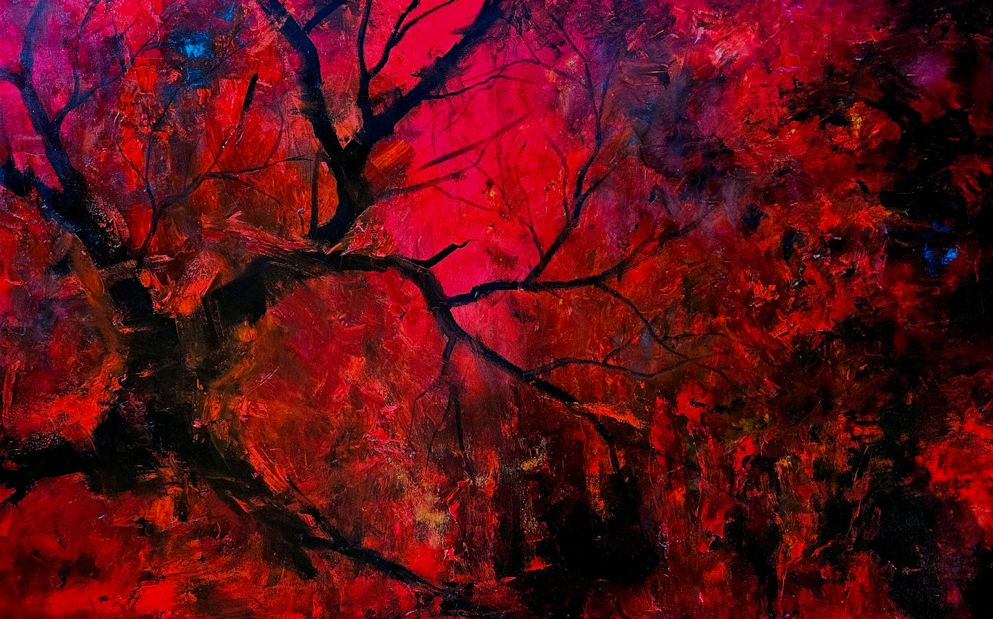Red image 0