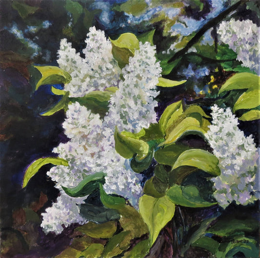 Lilacs in the Sun 12x12" image 0