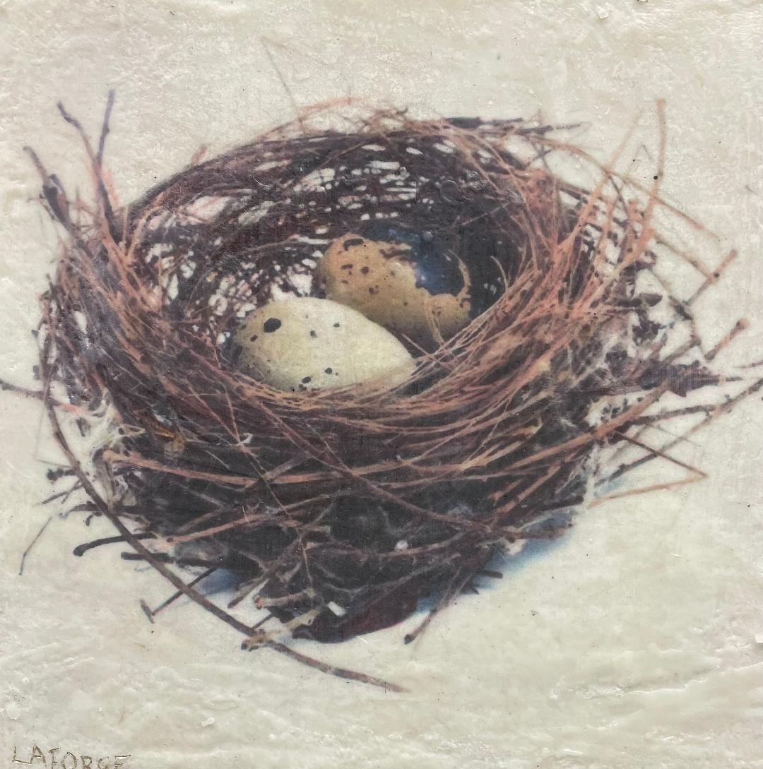 Two Speckled Eggs   12x12 image 0