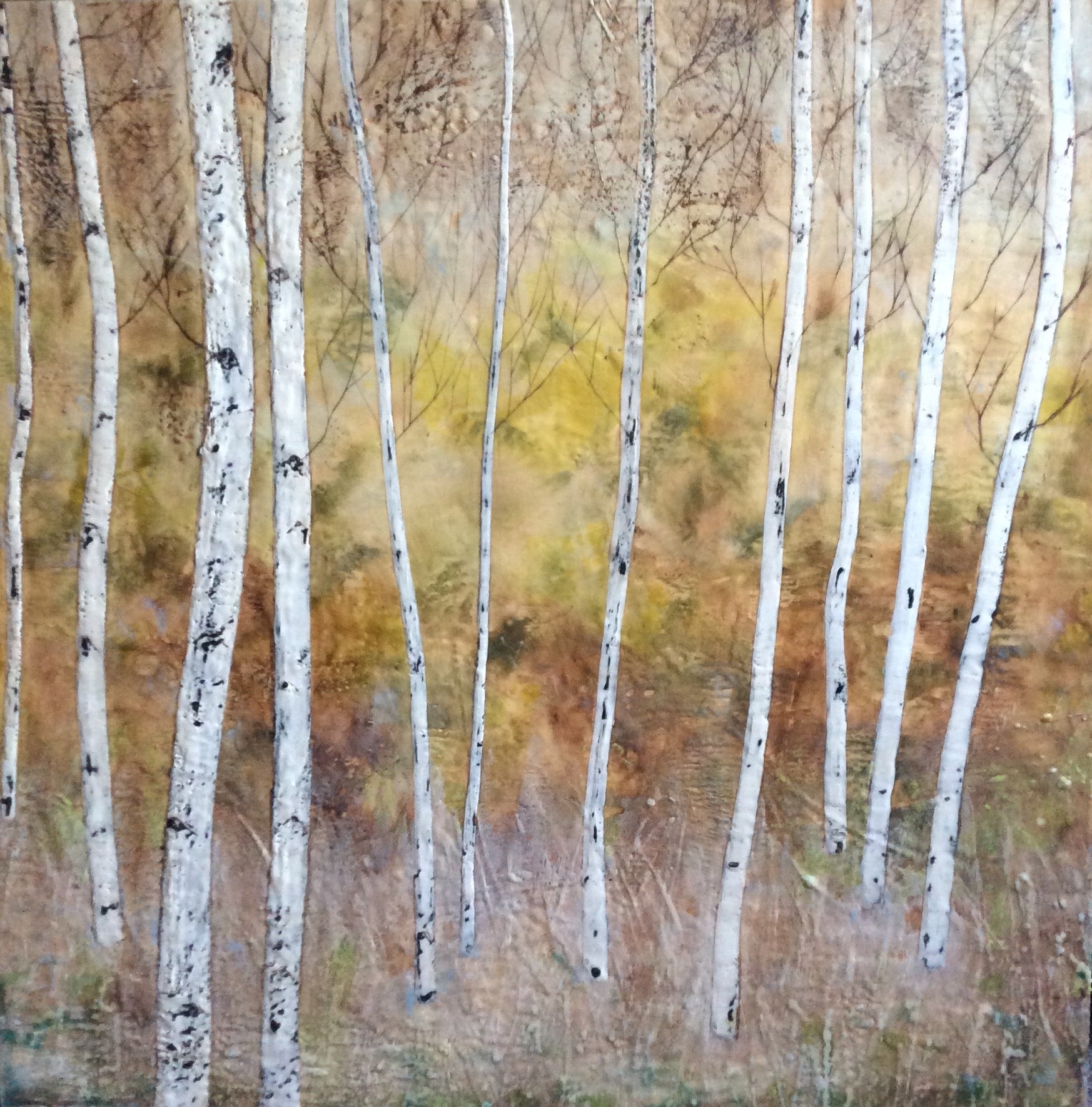 Fall Birches, 40x40" image 0