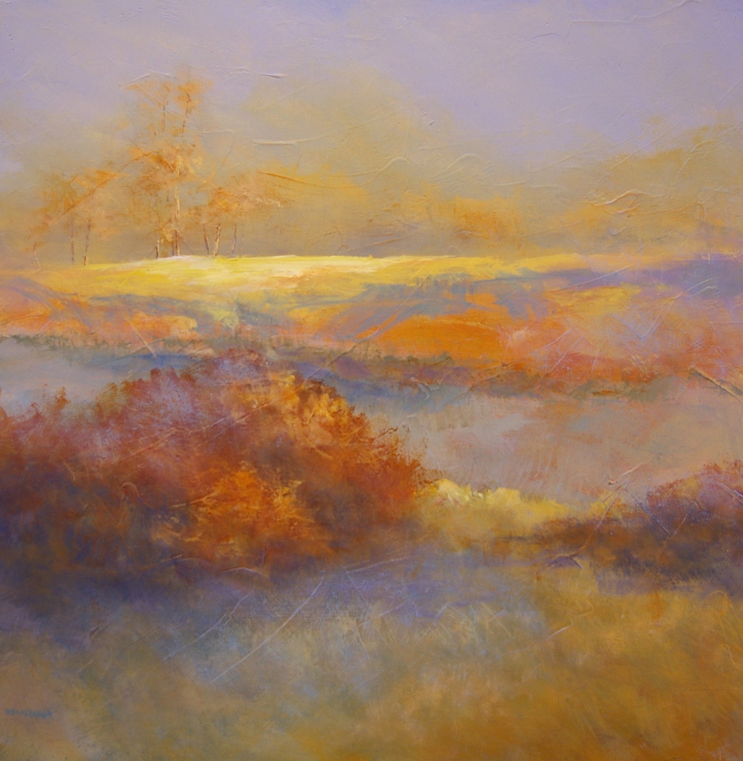 Morning Light image 0