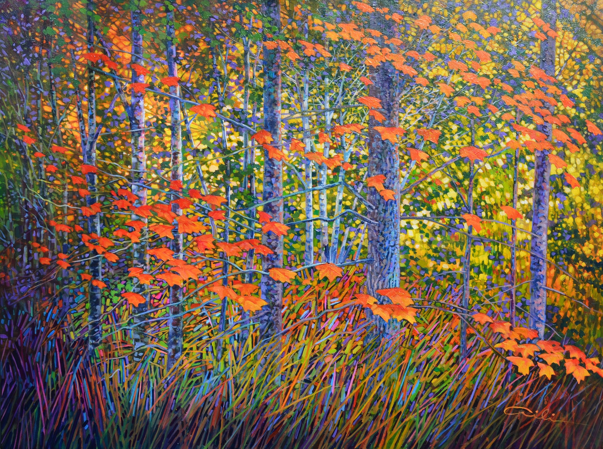 Floating Leaves image 0