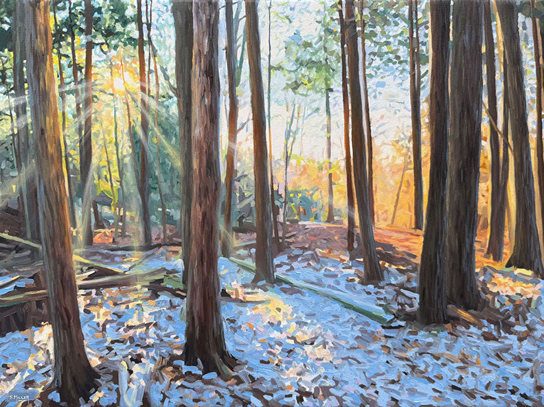 Early Snow      18H x 24W image 0