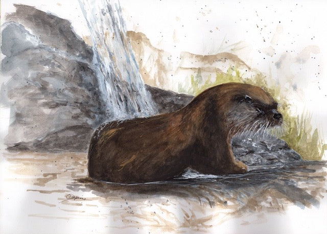 Showertime, 12"x9" image 0