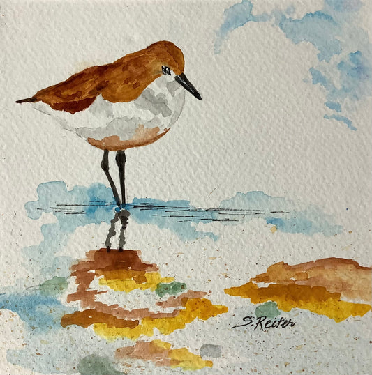 Dancing on water 6x6 image 0