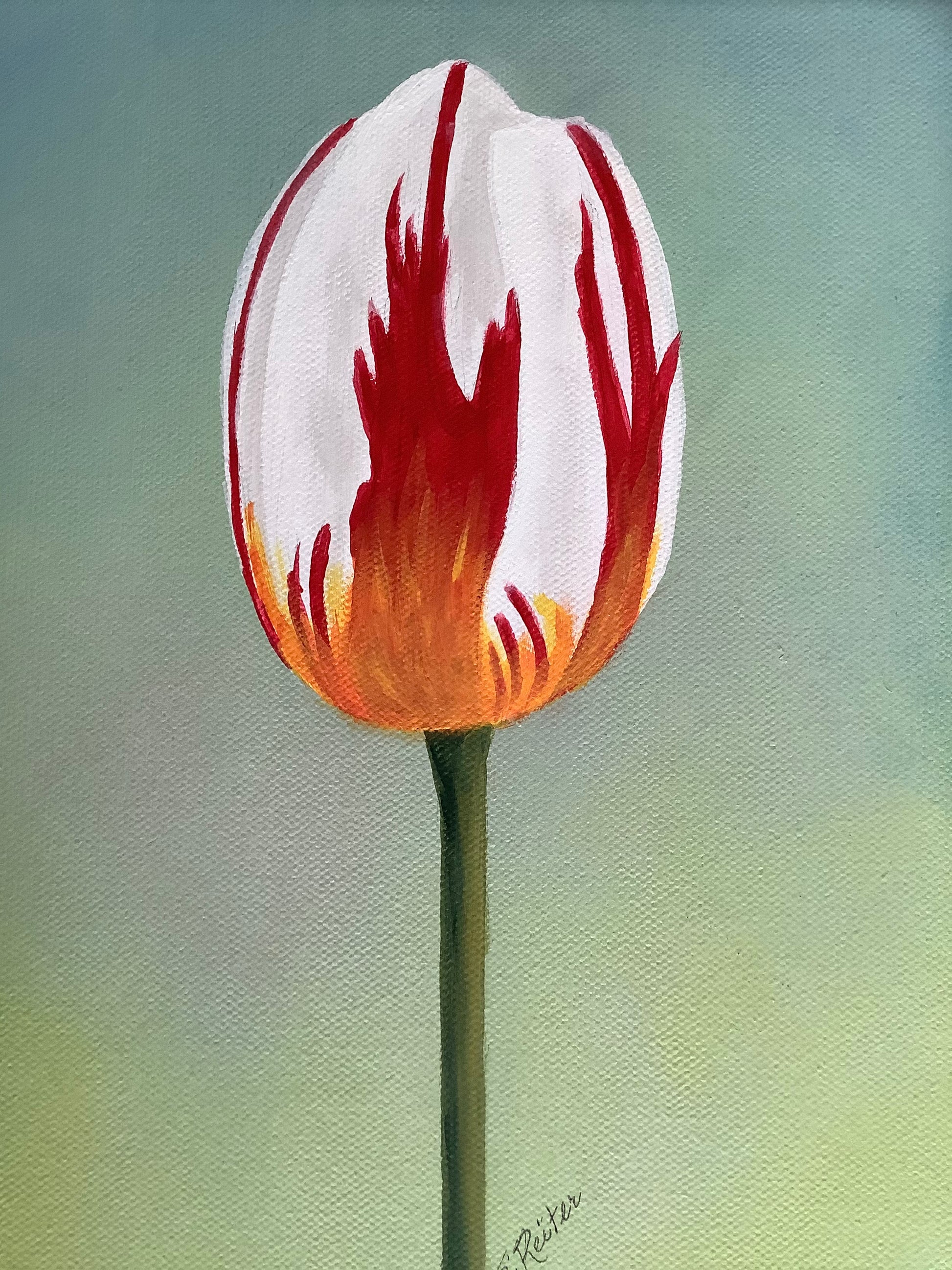 The Lone Canadian 8x10" image 0