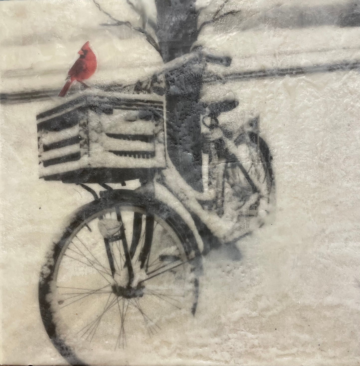 The Cardinal, 10x10" image 0