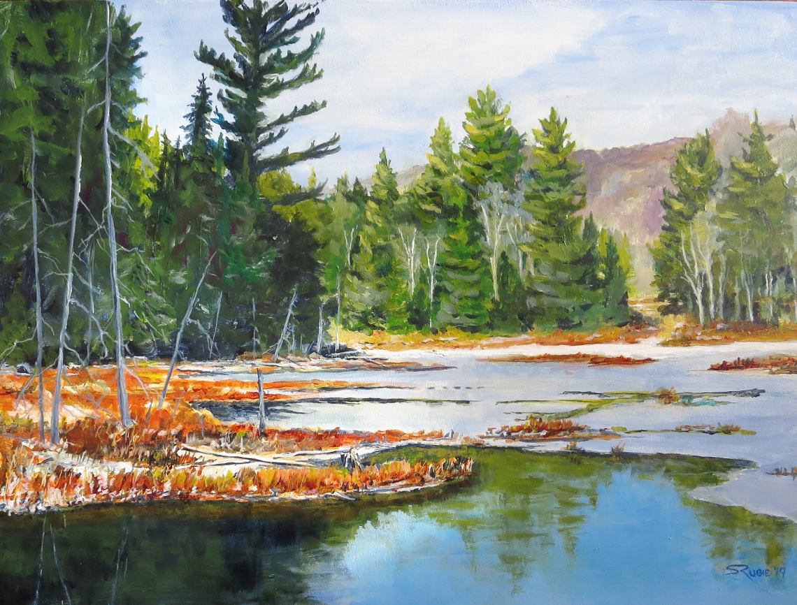 Algonquin Novemeber Wetland 18x24" image 0