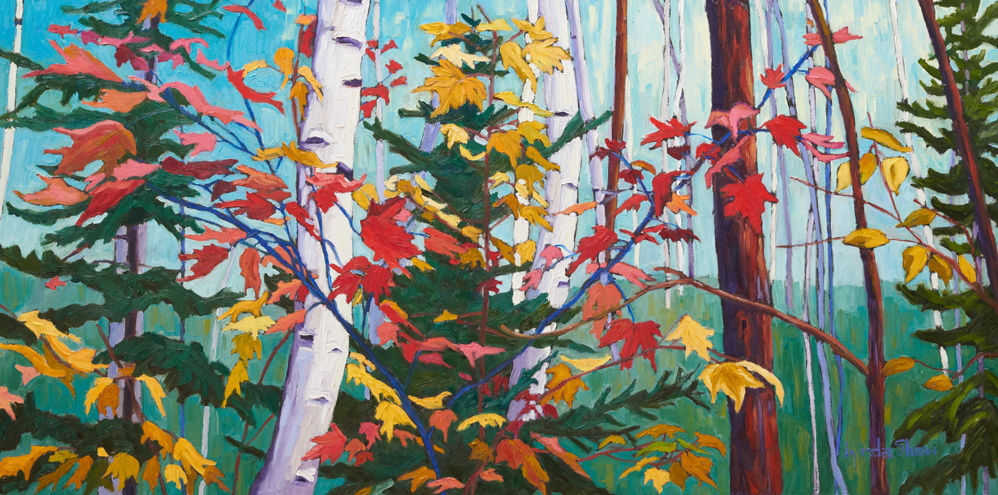 Birch Trees and Fall Leaves, Collection 11 60x30" image 0