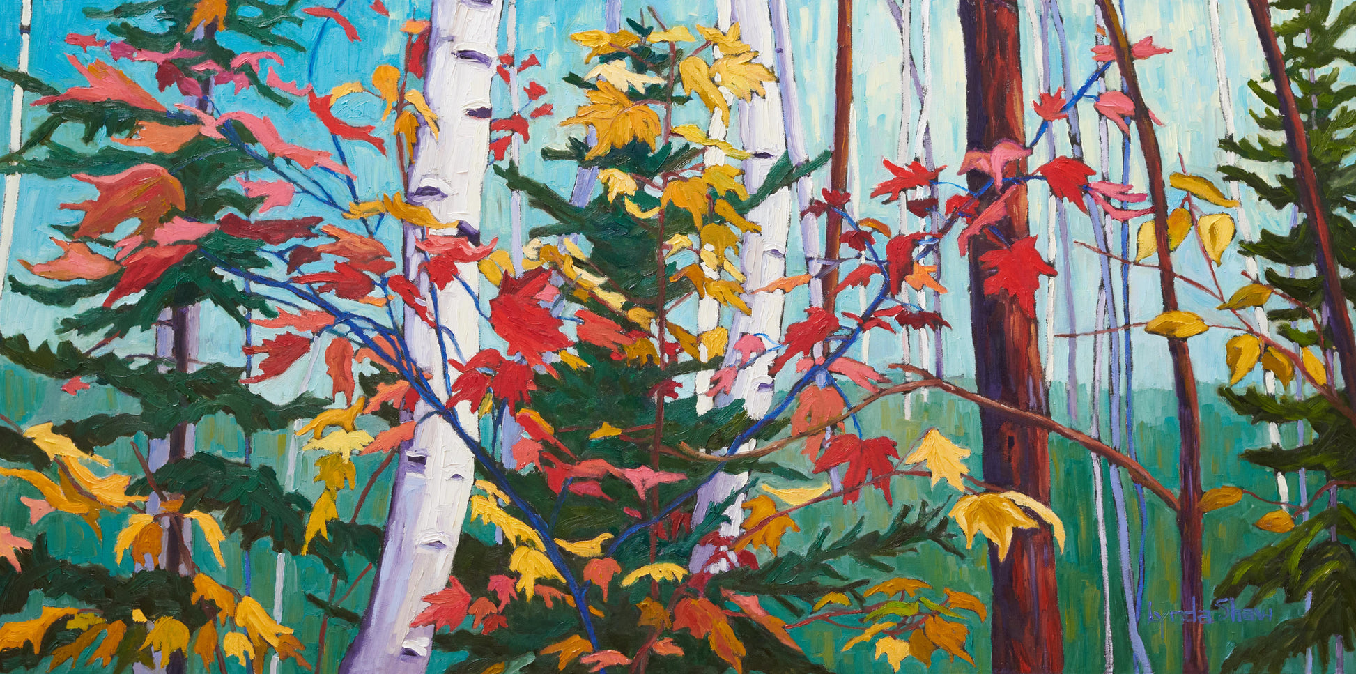 Birch Trees and Fall Leaves, Collection 11 60x30" image 0