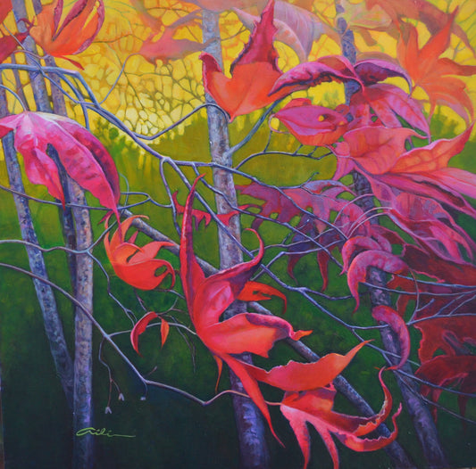 Fleeting Moments image 0