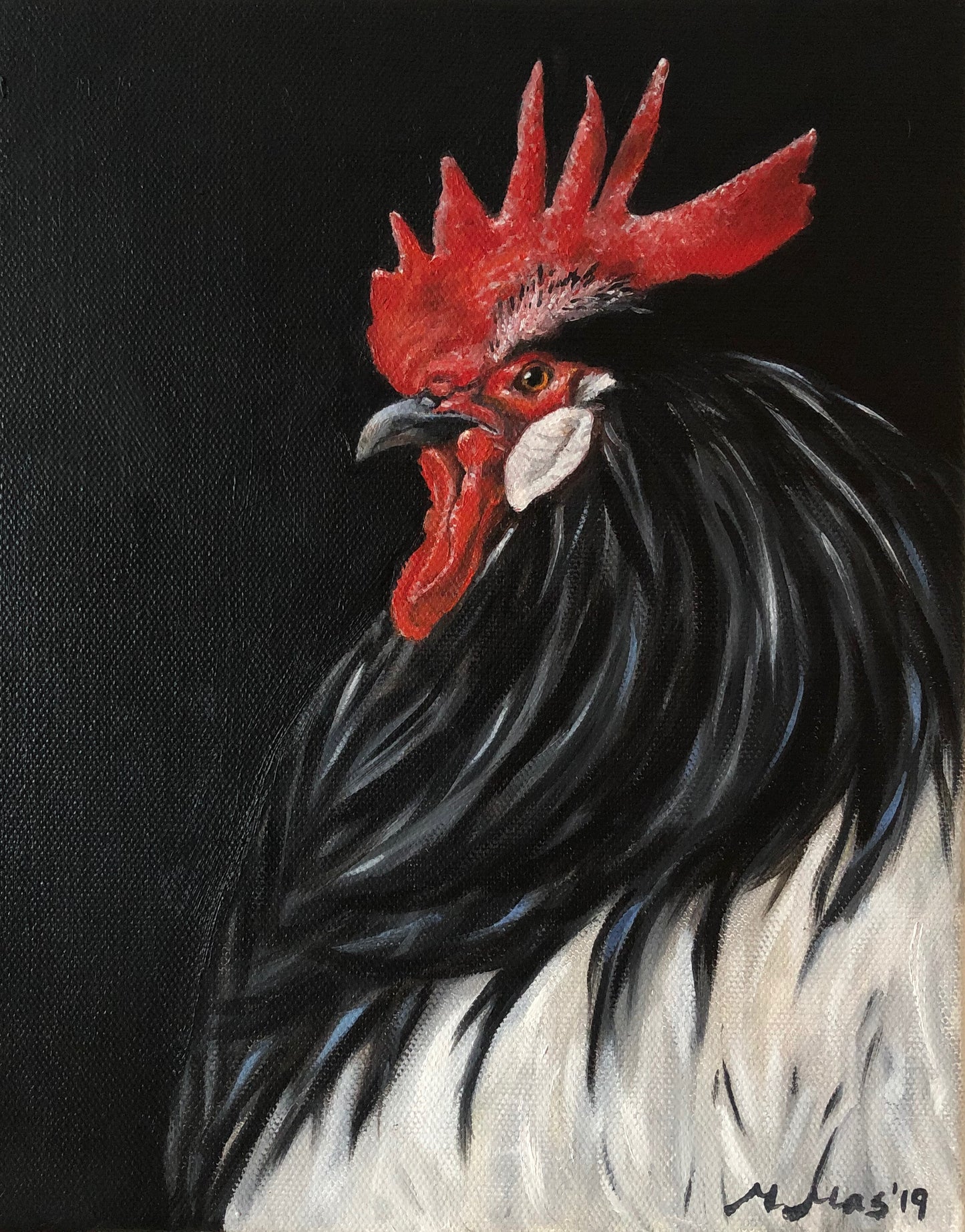 Gallo Kiriko image 0