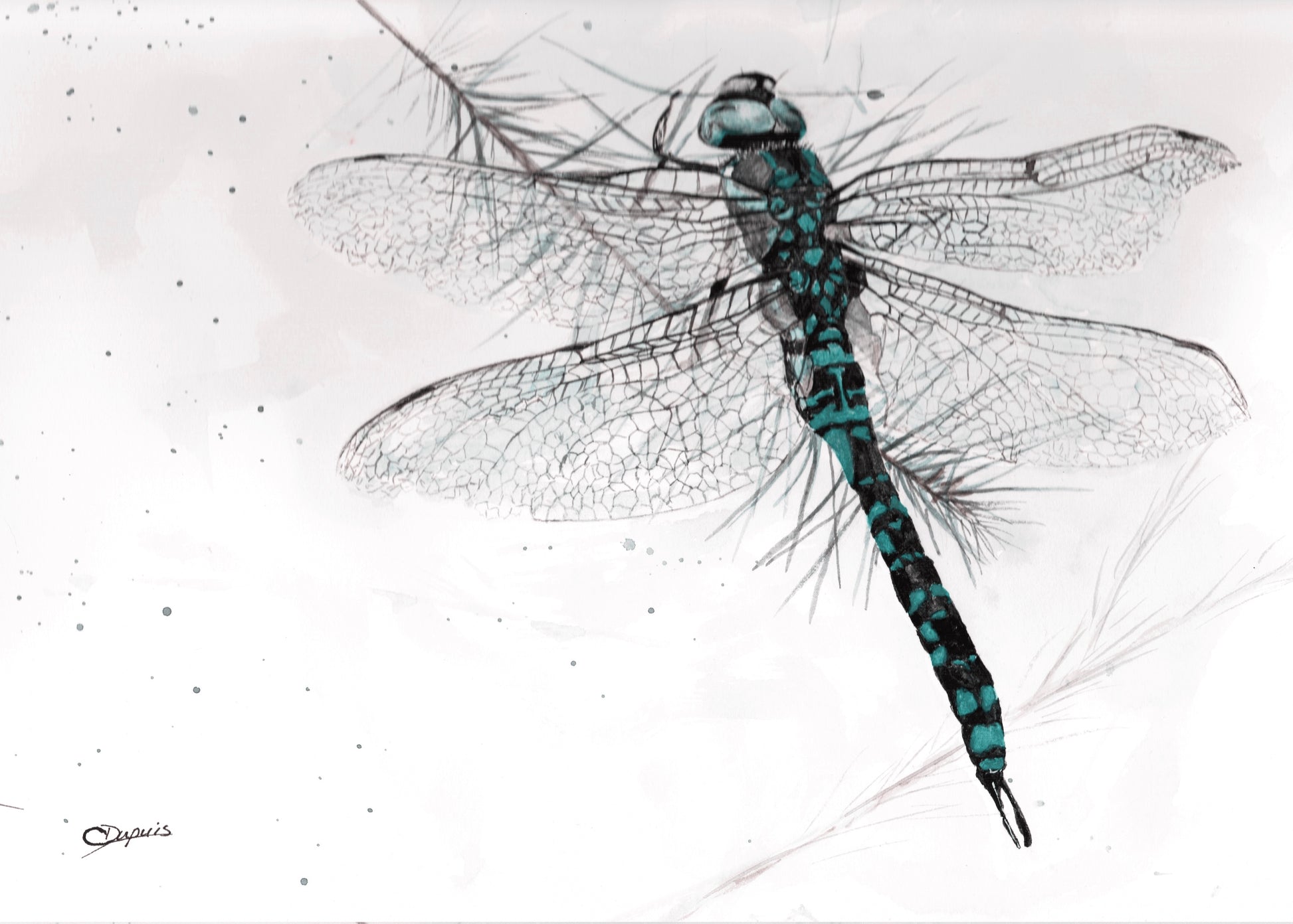 Demoiselle 12x9" image 0