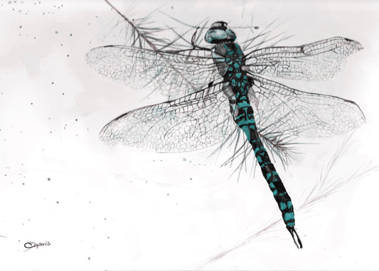 Demoiselle 12x9" image 0