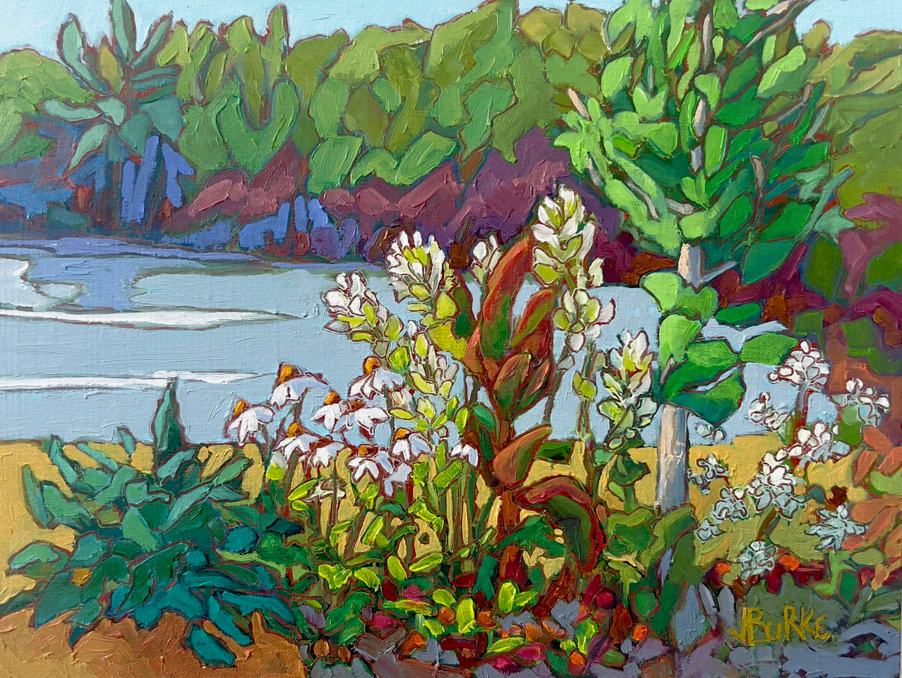 Coneflowers and Cleome, 9x12" image 0