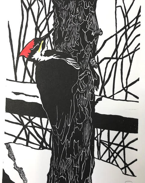 Winter Woodpecker 5/20, 6x8" image 0