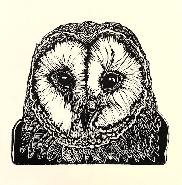 Barn Owl image 0