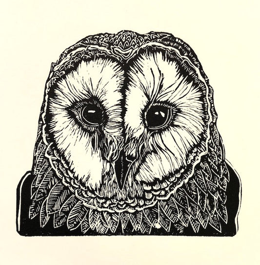 Barn Owl image 0