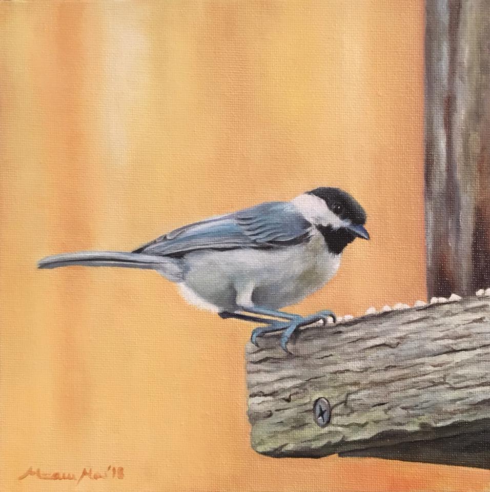 Chickadee image 0