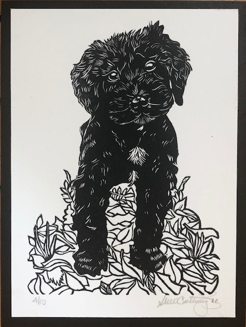 Untitled (Cockapoo)  Edition 4/10- 6x8” image 0