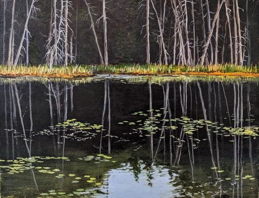 Algonquin Park Site, 11x14"