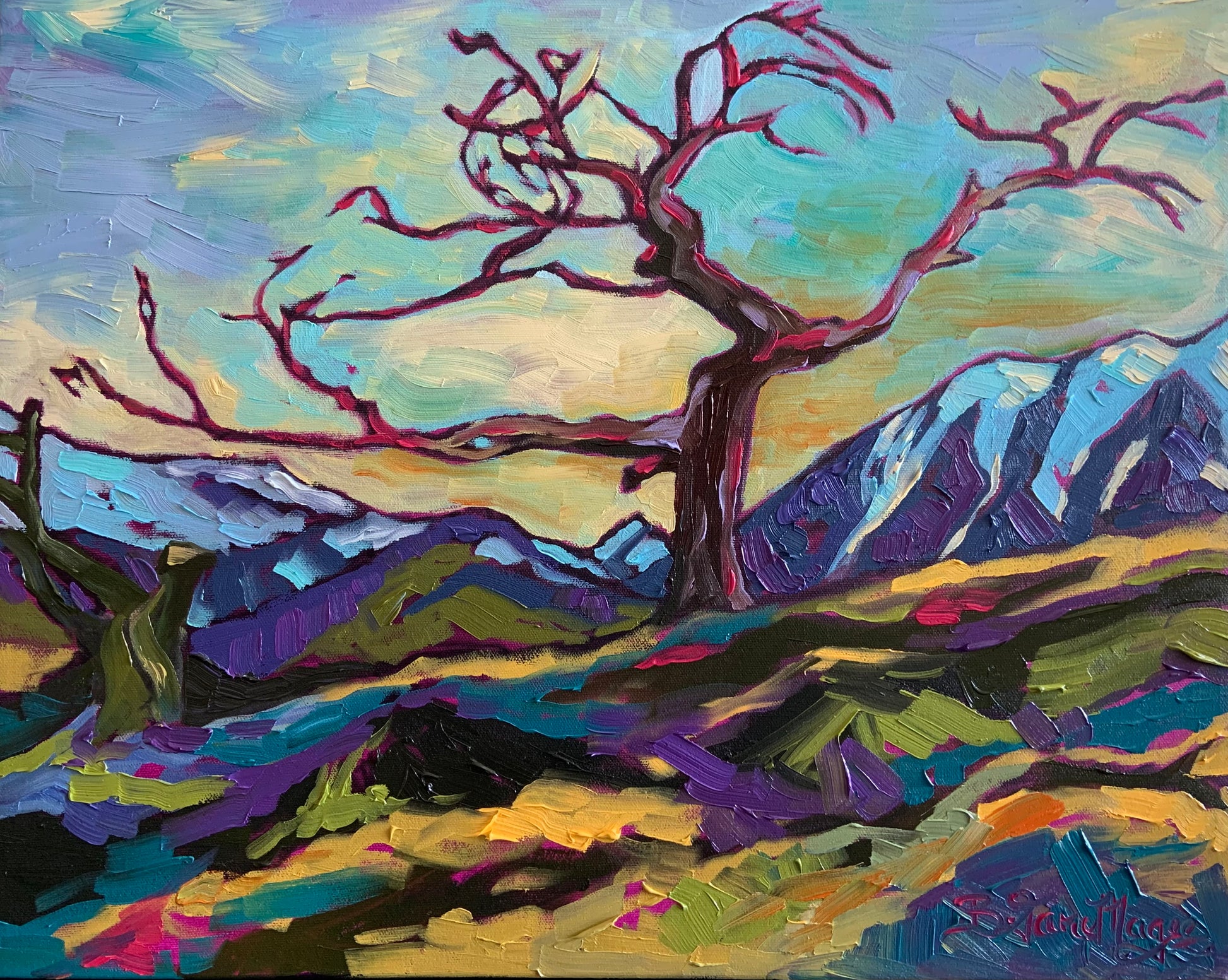 The Burmis Tree, Crowsnest Pass, Alberta 16x20" image 0